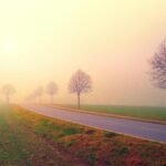 Photo of Road in the Middle of Foggy Field